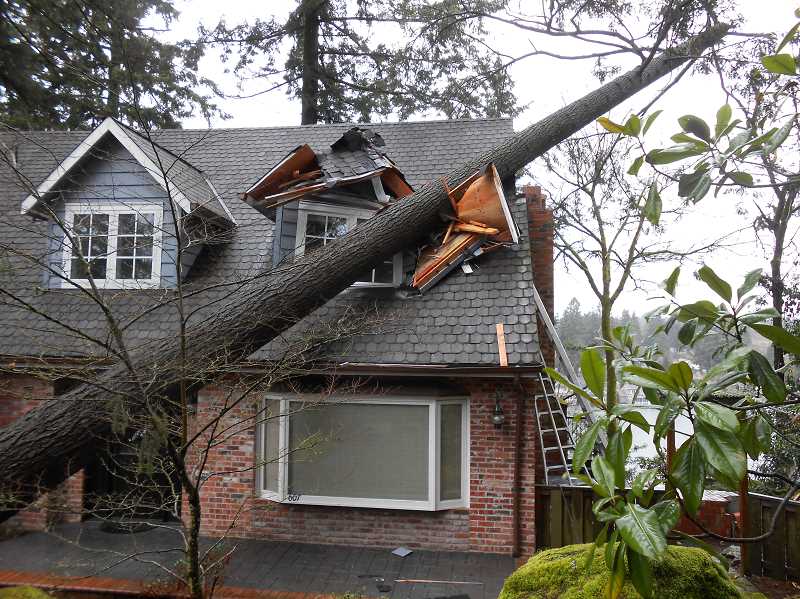 Tree Damage Services - J&R Contracting - Toledo, OH, Northwest Ohio